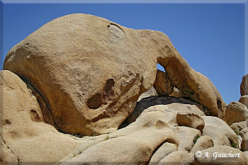 Elephant Rock